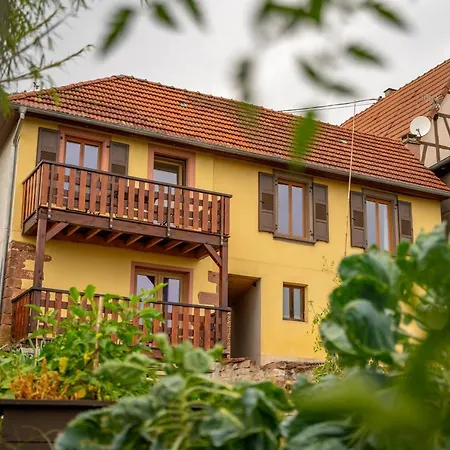 Gite O Gre Des Vosges 5 Etoiles Oberbronn, Vosges Du Nord Exterior photo