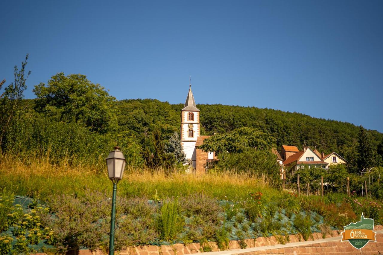 ô Gré Des Vosges Appartement *