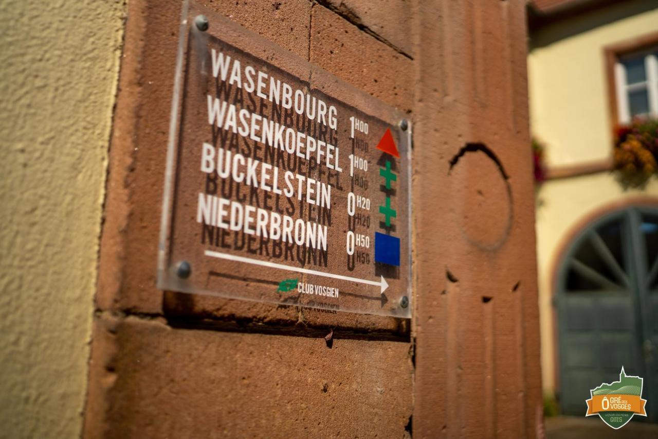 Appartement ô Gré Des Vosges Oberbronn