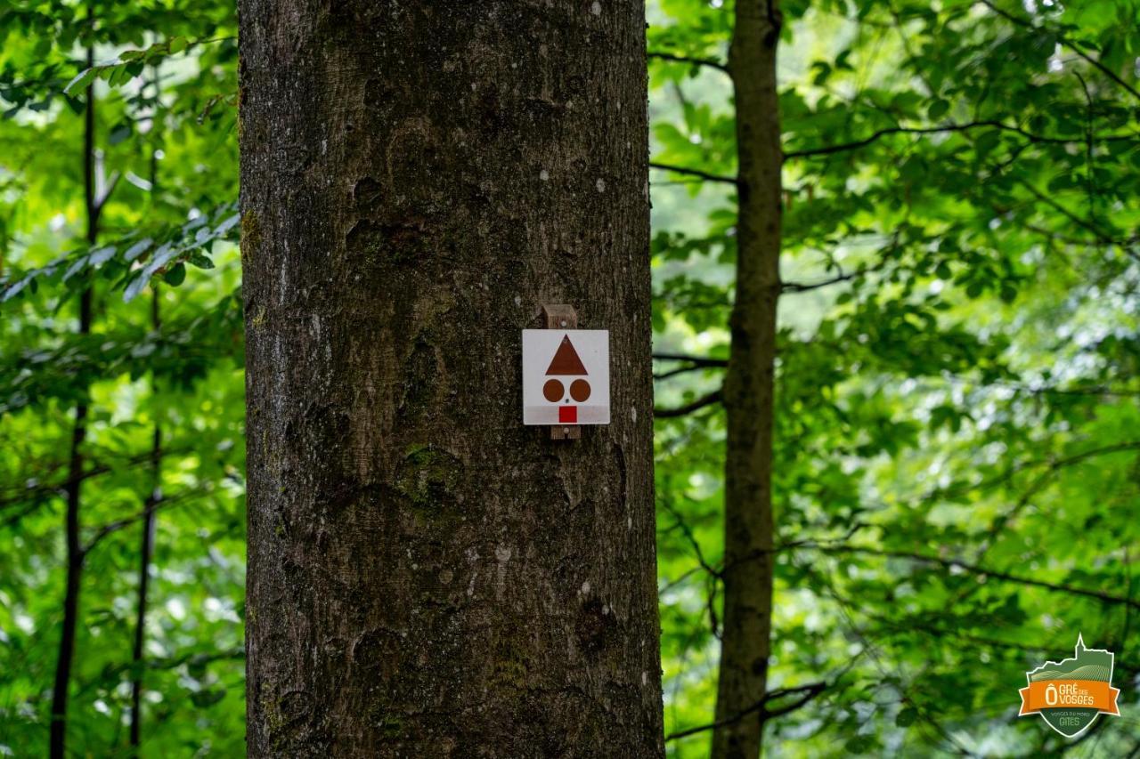 ô Gré Des Vosges Oberbronn