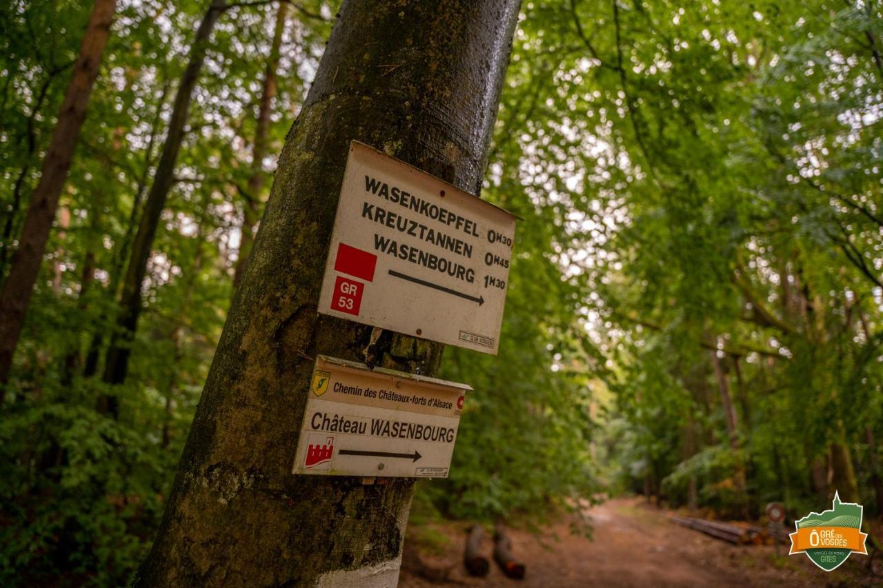 ô Gré Des Vosges Appartement *