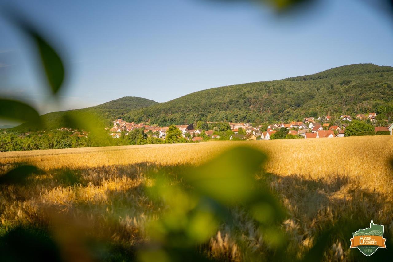 O Gre Des Vosges 5 Etoiles Oberbronn, Vosges Du Nord Apartment Oberbronn