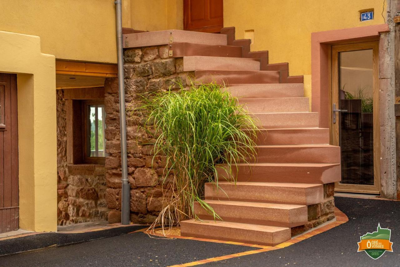 Appartement ô Gré Des Vosges Oberbronn