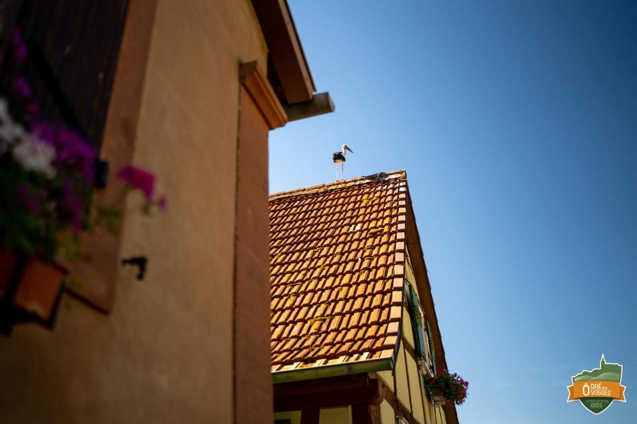 Apartment O Gre Des Vosges 5 Etoiles Oberbronn, Vosges Du Nord *